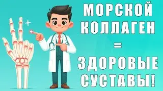 Морской коллаген для красоты и здоровья суставов | Обзор комплекса