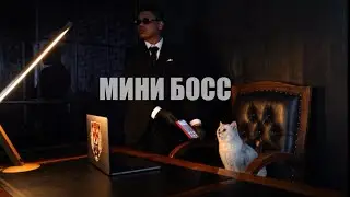 Тизер к треку «МИНИ БОСС»😼 Полная версия🔥 #котики