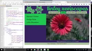 Where do I put JavaScript in html files? Part 1 of 2