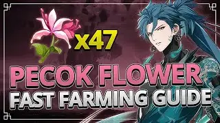 Pecok Flower 47 Locations FAST FARMING GUIDE | Wuthering Waves 1.0