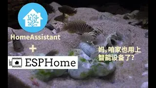 esphome智能鱼缸控制器接入homeassistant（smart fish tank controller)