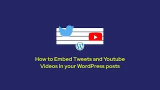 How to Embed Tweets, Youtube Videos in WordPress posts