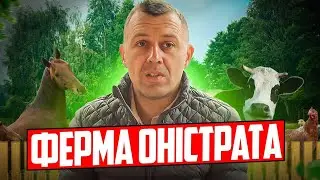 Якою має бути фермерська продукція? Що означає «еко»? |  Ферма Оністрата