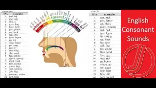 The Easiest Way to Learn 24 Consonant Sounds of English