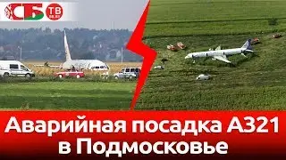 Аварийная посадка аэробуса в поле | подробности