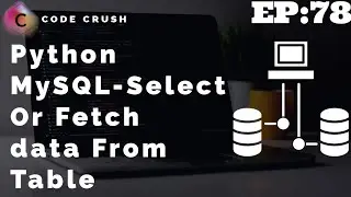 Python Database Connectivity MySQL | Selecting And Getting Data | What Is Select Query