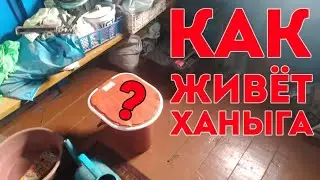 КАК И ГДЕ ЖИВЁТ ХАНЫГА ПОДЗАБОРНЫЙ | РУМТУР