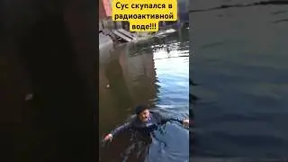 Сус купается в радиационной воде в Чернобыле