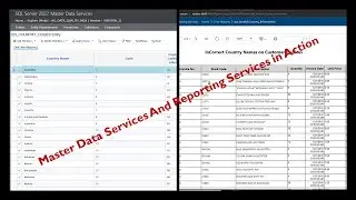 Empowering Decision-Making Streamlining Master Data Entity Sharing with SQL Server Reporting Service