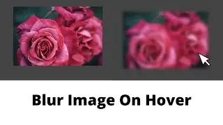 Image Blur On Hover Effect Using HTML CSS | Labham Jain