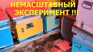 Немасштабный эксперимент. Зимовка пчёл в тёплом омшанике. Всё банально и просто. Карника Южный Урал