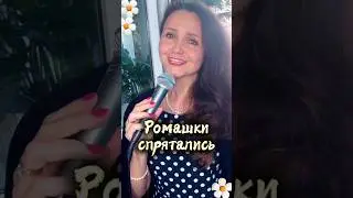 Ромашки спрятались🌼