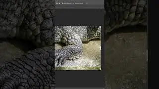 How to Sculpt Realistic Scales with Painter and ZBrush #tutorial #zbrush #texturing #3d