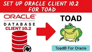 Oracle instant client set up for Toad developer.