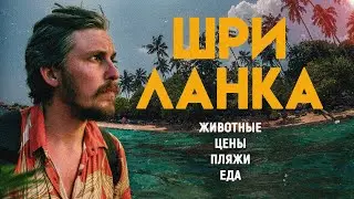 Жить у океана за $10 в день? Путешествие на Шри Ланку - еда, море цены