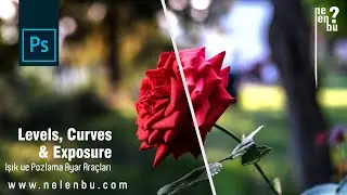 Levels, Curves & Exposure - Levels, Curves & Exposure - Adjustment Layer - Photoshop Tutorials