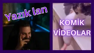 Elraenn - KOMİK KEDİLER VE KOMİK HAYVANLAR İzliyor