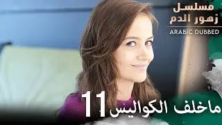 كواليس مسلسل زهور الدم 11 | مسلسل زهور الدم | مدبلج بالعربية | Kan Çiçekleri