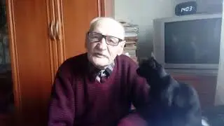 Как применять разделительные решётки  в ульях