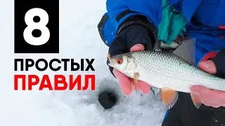 КАК ПОЙМАТЬ МНОГО ПЛОТВЫ НА МОРМЫШКУ? Четкая схема действий, чтобы поймать полный ящик + ВСЕ СЕКРЕТЫ