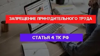 Статья 4 Трудового кодекса