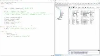 SQLite & Python - 9 - Add New Column and Default Values