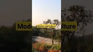 modern agriculture 