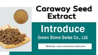 High Quality Caraway Seed Extract Powder Sales, Bulk Buy And Price