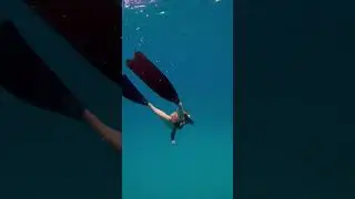 my friend has a secret hitchhiker 