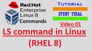 01 Linux Commands for Beginners - ls command in Linux - Study Viral