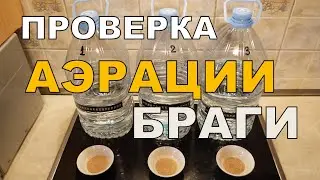 Проверка АЭРАЦИИ браги. Три бражки.