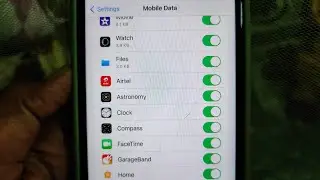 What is the Astronomy App under Cellular/Mobile Data Setting in iPhone?