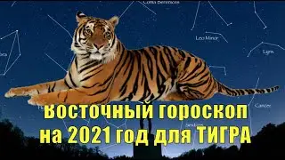 Восточный гороскоп на 2021 год для Тигра.