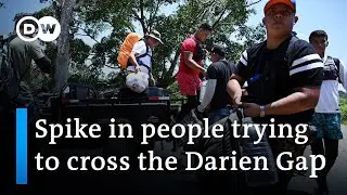 UN: Record numbers risk lives to cross the Darien Gap | DW News