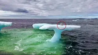 The fishermen were horrified when they saw who was sitting on the ice floe...