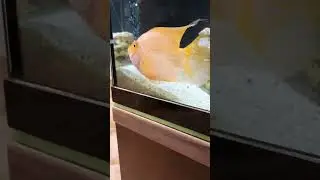 экскаватор
