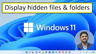 How to display Hidden File and Folders on Windows 11