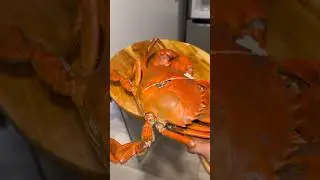 COOKING MUD CRAB