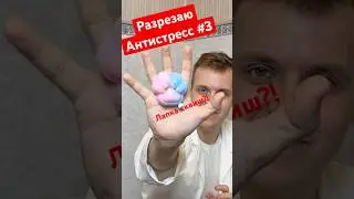 Что внутри игрушек антистресс | ЧАСТЬ 3 #сквиши #смешно #игрушки #shart