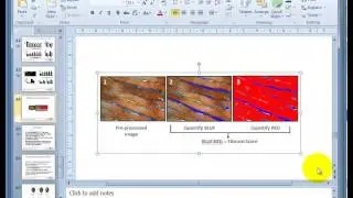 GraphPad Prism - Combining Graphs with graphics