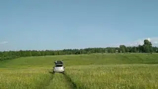Кировская область, Лузский район, деревня Куликово, июнь 2019
