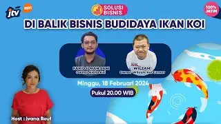 LIVE | DI BALIK BISNIS BUDIDAYA IKAN KOI | SOLUSI BISNIS JTV