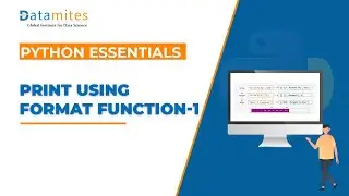 Print Using a Format Function Part 1 | Python Essentials