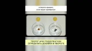 Творог или ПОДДЕЛКА? Как определить ДОБАВКИ в твороге? Полный ролик в комментариях! 