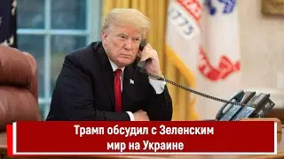 Трамп обсудил с Зеленским мир на Украине