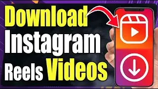 How to Download Instagram Reels Video