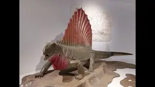 Самый большой исторический музей в Техасе.  Обзор.