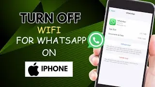 How to Turn Off Wifi For Whatsapp on Iphone  2024