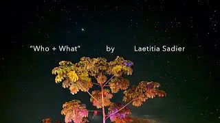 Laetitia Sadier " Who + What" (Official Music Video)