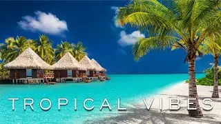 Tropical Music Video with Beautiful Beach Travel Destinations | Music for Office or Home